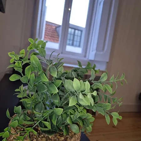 Apartamento Caravelas Luxury